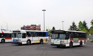 TriMet 30-foot Gillig buses.jpg