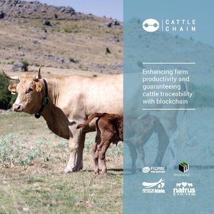 Brochure cattlechain v05-2.pdf