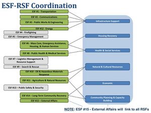 ESF-RSF+Coordination.jpg