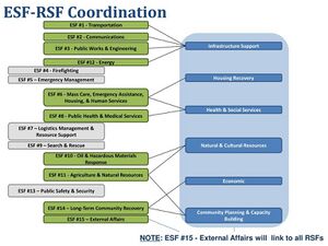 ESF-RSF+Coordination.jpg