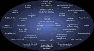 Entities and organizations with responsibility for Public Safety.jpg