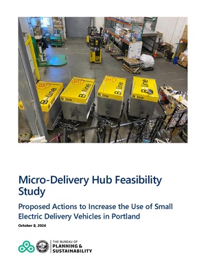 BPS-Micro-Delivery-Hub-Feasibility-Report.pdf