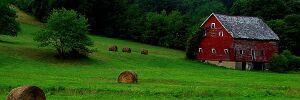 Barn Greene County PA.jpg